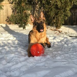 Meet your Posher, Madison